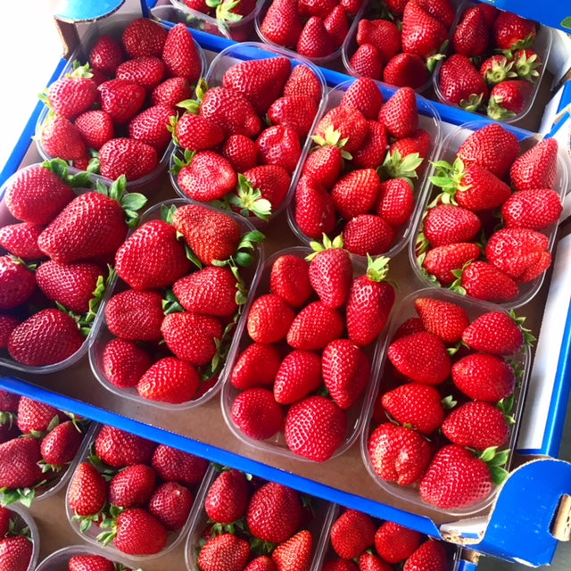 Fragole sicilia cassa da 2kg