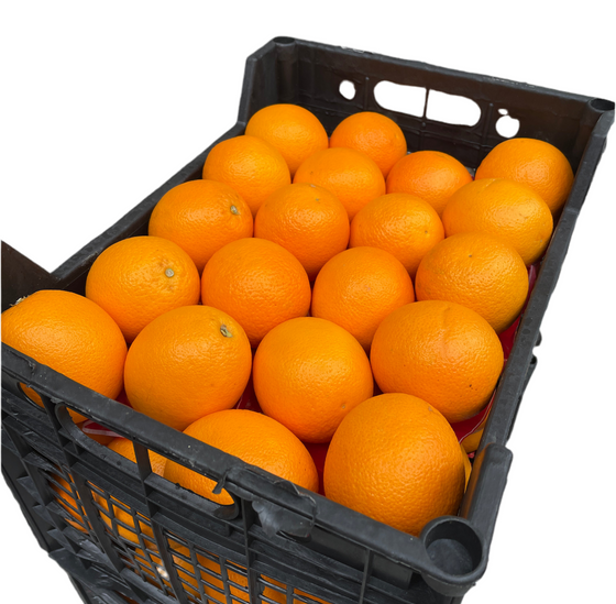 Arance da spremuta 1,33€/kg