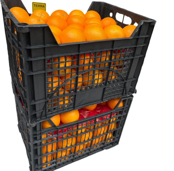 Arance da spremuta 1,33€/kg